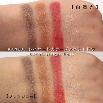 レイヤードカラーズアイシャドウ/KANEBO/アイシャドウパレットを使ったクチコミ(5枚目)