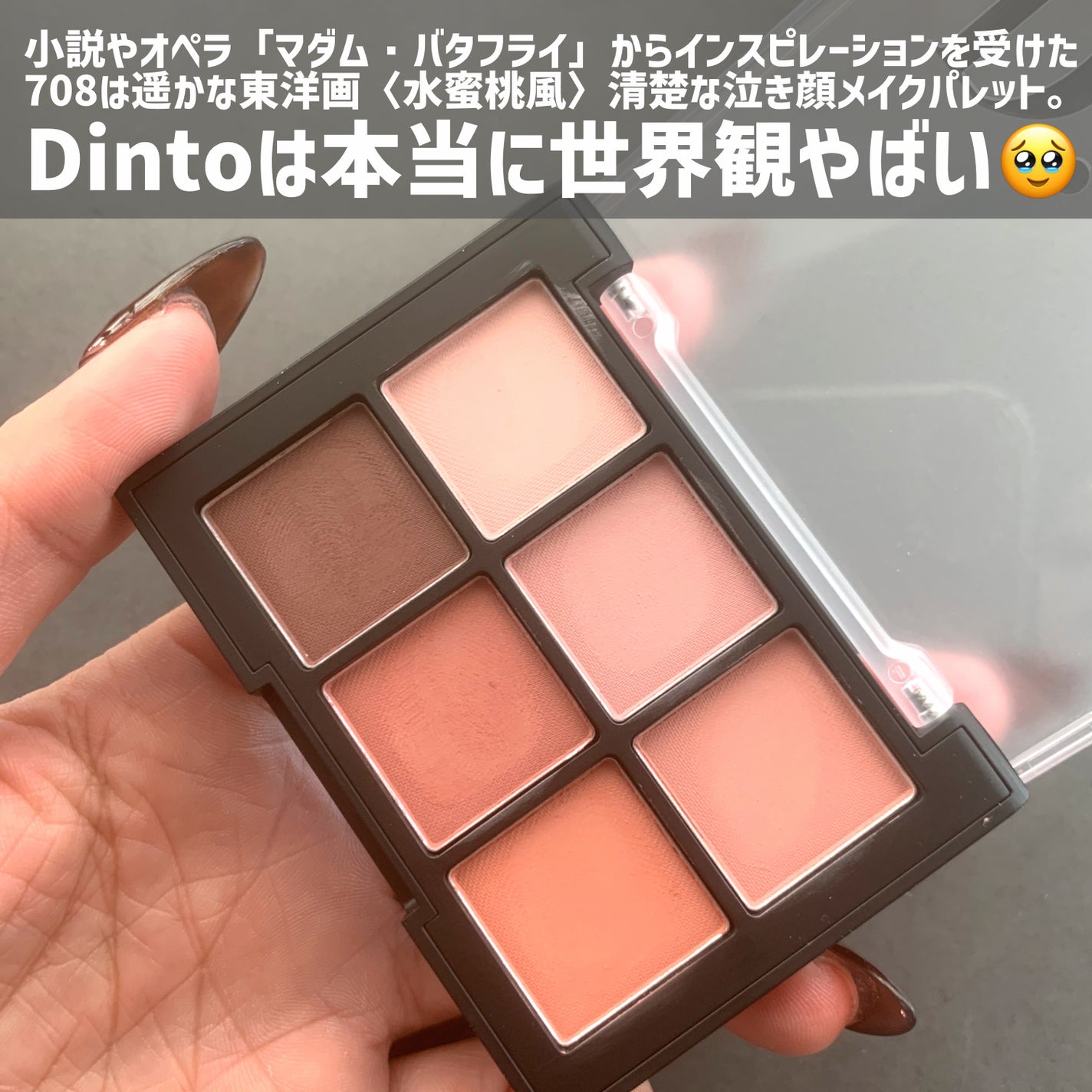ブラーフィニシュシャドウパレット/Dinto/アイシャドウパレットを使ったクチコミ(3枚目)