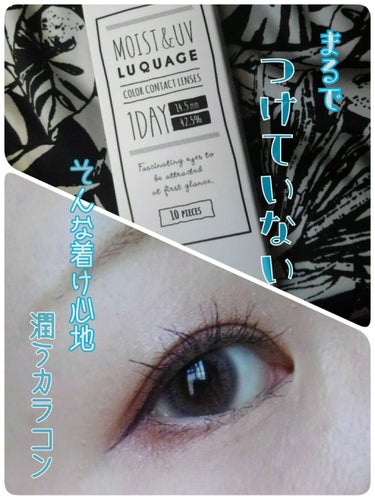 こんにちは( •ω•ฅ)
今日のアイメイク＆カラコン💄

エバーカラーワンデーナチュラル
モイストレーベルUV
14.5mm
ミスティアッシュ

こちらのカラコンはほんとに
着け心地が良く付けている事を