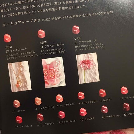 クレ・ド・ポー ボーテ ブリアンアレーブルエクラ/クレ・ド・ポー ボーテ/リップグロスを使ったクチコミ(2枚目)