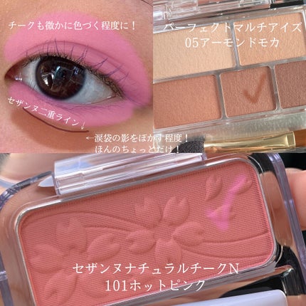 パーフェクトマルチアイズ/キャンメイク/アイシャドウパレットを使ったクチコミ(4枚目)