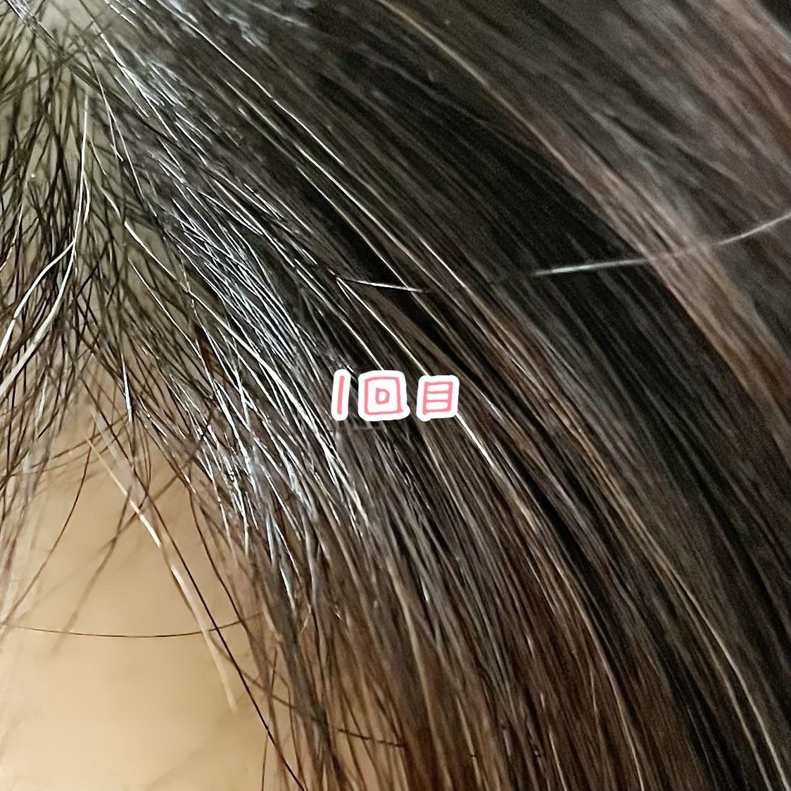 ROOT VANISH 白髪染めカラーシャンプー/ トリートメント/綺和美/市販シャンプーを使ったクチコミ（3枚目）