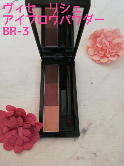 ヴィセ リシェ アイブロウパウダー/Visée/パウダーアイブロウを使ったクチコミ(1枚目)