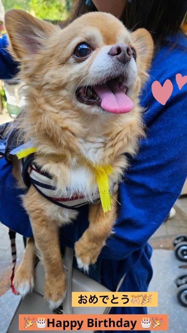 ディオール ヴェルニ/Dior/マニキュアを使ったクチコミ(6枚目)