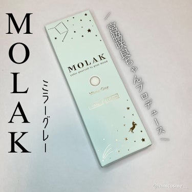 MOLAK 1day ミラーグレー/MOLAK/ワンデー（１DAY）カラコンの画像