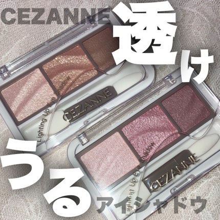 ライティングアップアイシャドウ/CEZANNE/アイシャドウを使ったクチコミ(1枚目)