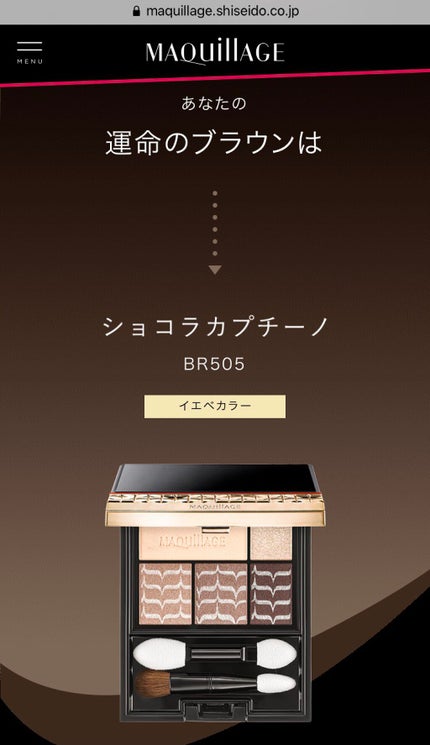 ドラマティックスタイリングアイズ/マキアージュ/アイシャドウパレットを使ったクチコミ(10枚目)