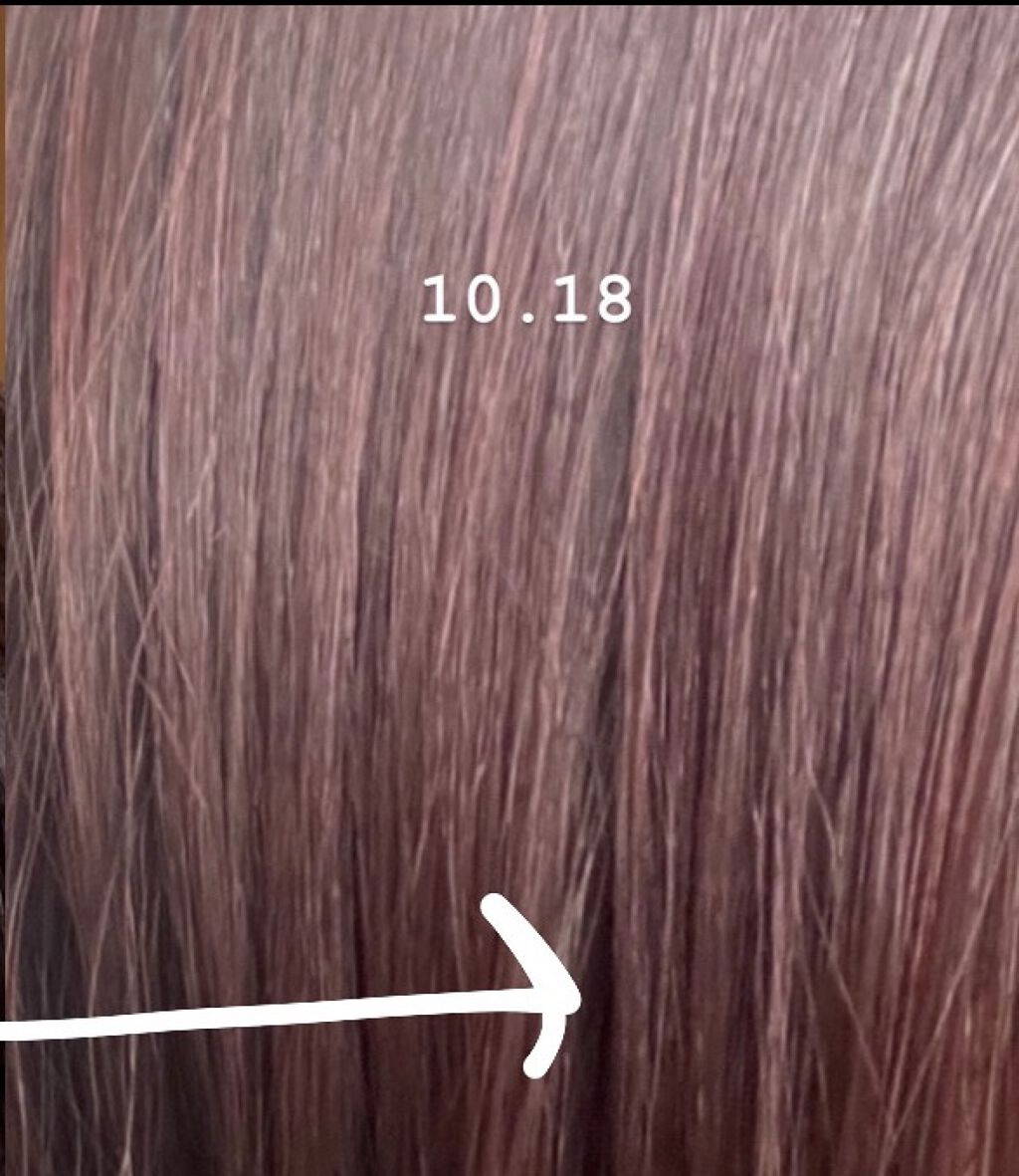 N. カラーシャンプー／トリートメント/N./サロンシャンプーを使ったクチコミ（3枚目）