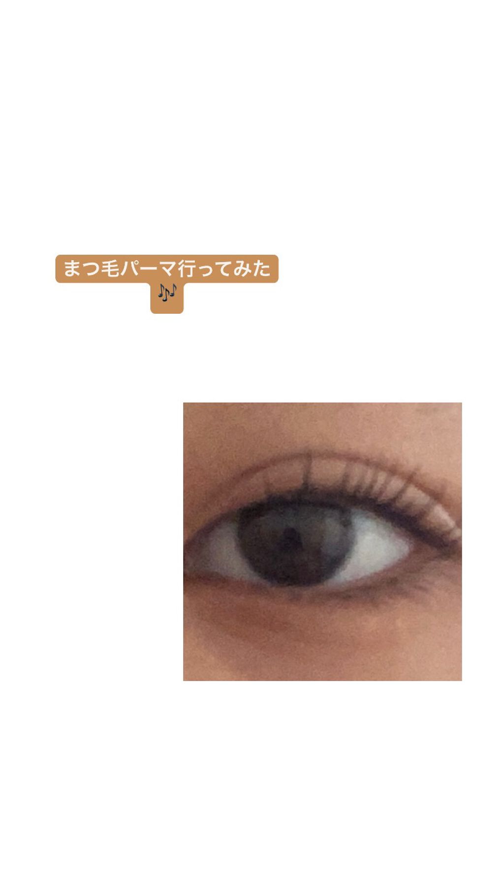 リカ (フォロバ◎!) on LIPS 「初めてのまつ毛パーマに行ってみました🎶結果は、、、、最高。今回..」(1枚目)