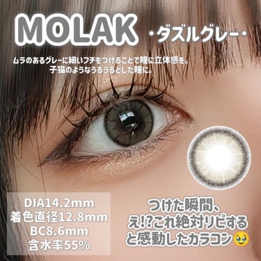 MOLAK 1day ダズルグレー/MOLAK/ワンデー（１DAY）カラコンを使ったクチコミ（2枚目）