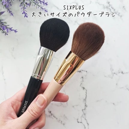 FilliMilli ビッグファンブラシ851/fillimilli/メイクブラシを使ったクチコミ(3枚目)