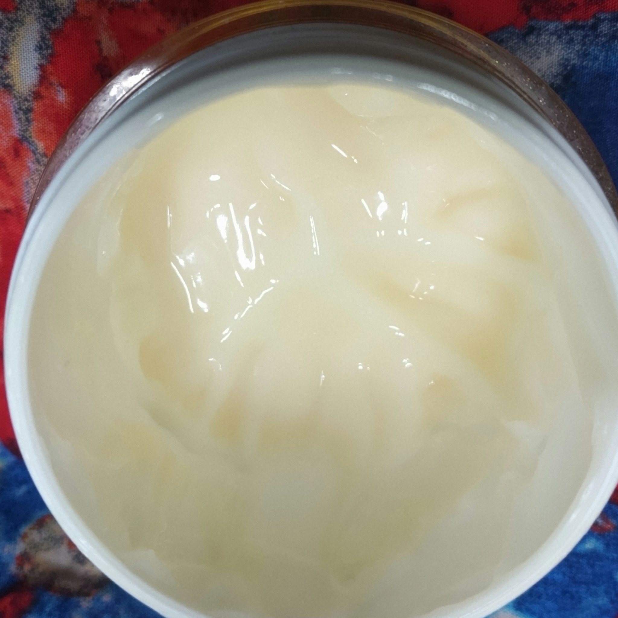 リンクルケア モイストジェルクリーム/グレイスワン/オールインワン化粧品を使ったクチコミ（3枚目）