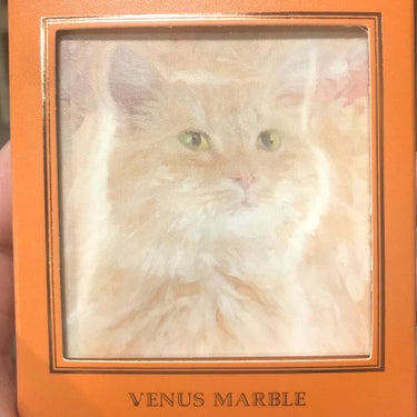 Venus Marble アイシャドウキャットシリーズ/Venus Marble/アイシャドウパレットを使ったクチコミ（1枚目）