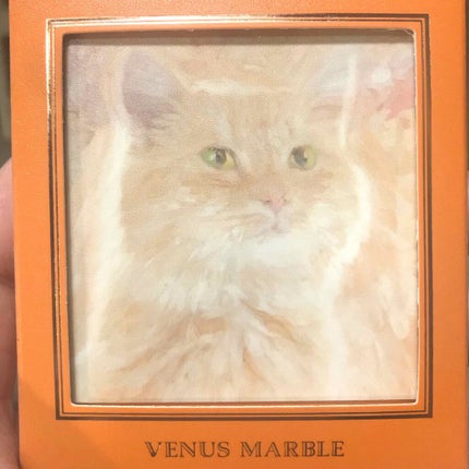 Venus Marble アイシャドウキャットシリーズ/Venus Marble/アイシャドウパレットを使ったクチコミ(1枚目)