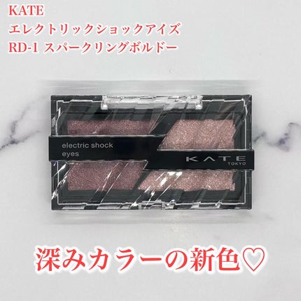 エレクトリックショックアイズ /KATE/アイシャドウパレットを使ったクチコミ(2枚目)