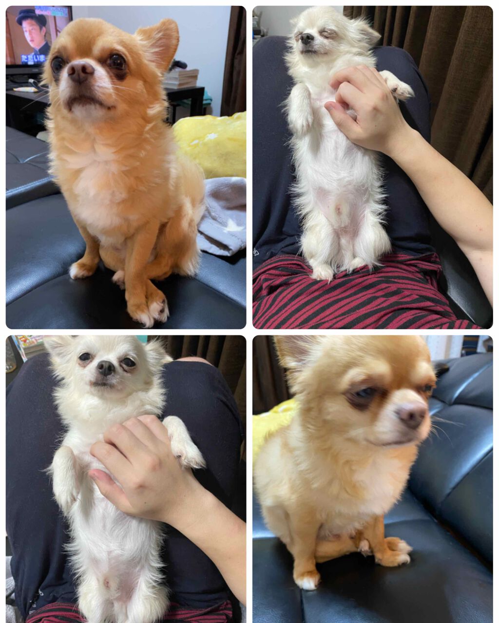 ジューシーピュアアイズ/キャンメイク/アイシャドウパレットを使ったクチコミ（3枚目）