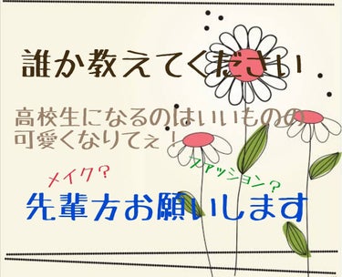 ハトムギ化粧水(ナチュリエ スキンコンディショナー R )/ナチュリエ/化粧水を使ったクチコミ（1枚目）