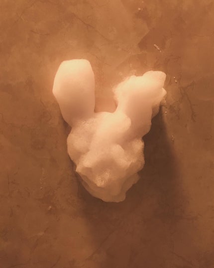 ジェイメラ パープルホイップHFBソープ/ラプンツェル/jmella/泡洗顔を使ったクチコミ(8枚目)