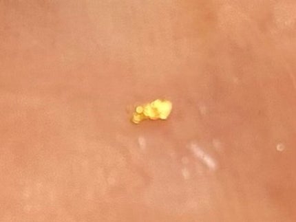 さらりと潤う美容オイル (透き通るような香り)/MAKANAI/美容液を使ったクチコミ(4枚目)