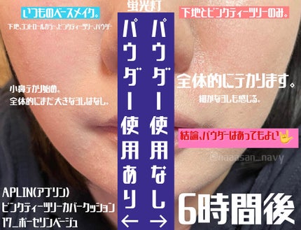 ピンクティーツリーカバークッション/APLIN/クッションファンデーションを使ったクチコミ(9枚目)