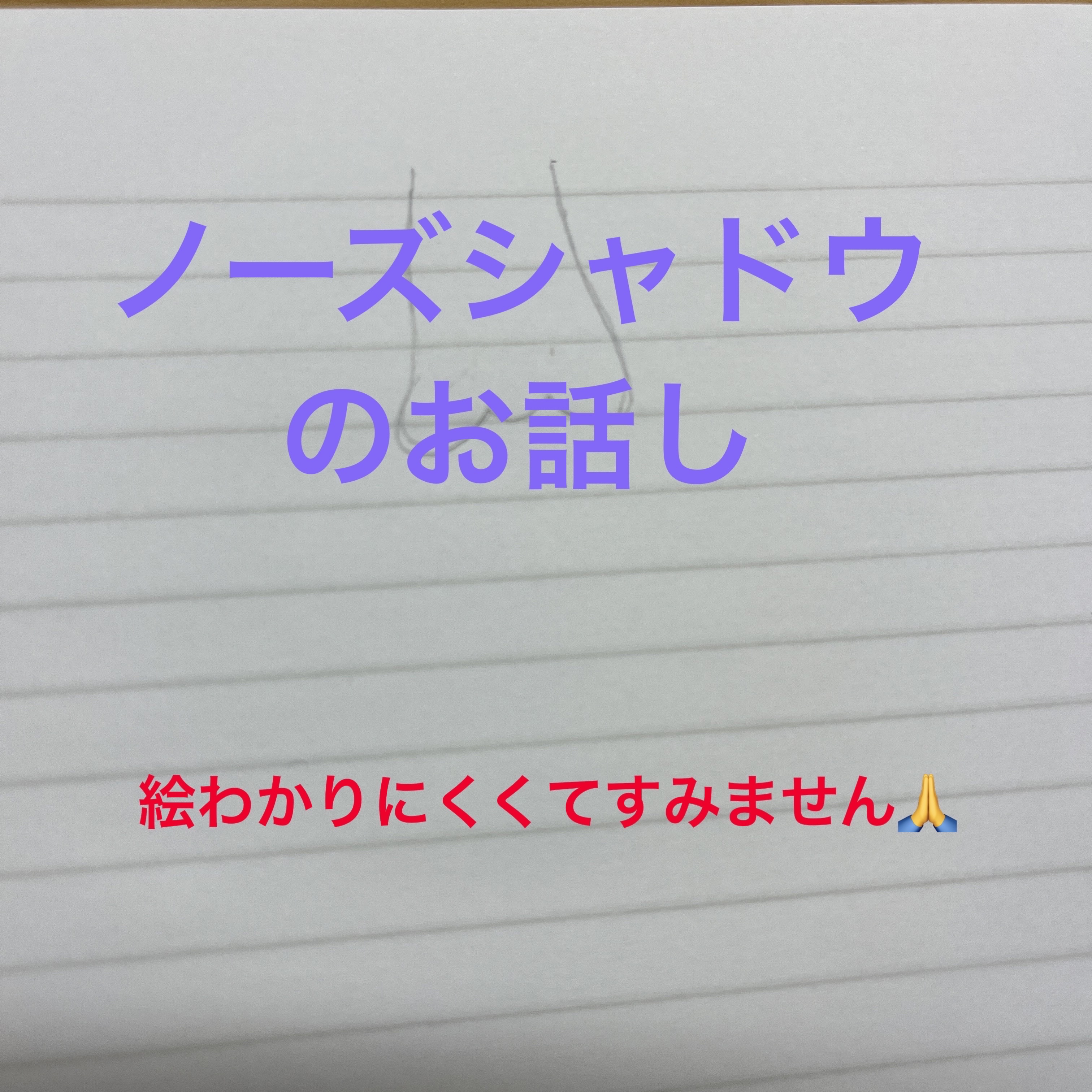 シェーディングパウダー/キャンメイク/シェーディングを使ったクチコミ（1枚目）