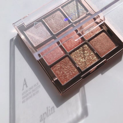ワンピックアイシャドウパレット/APLIN/アイシャドウパレットを使ったクチコミ(1枚目)