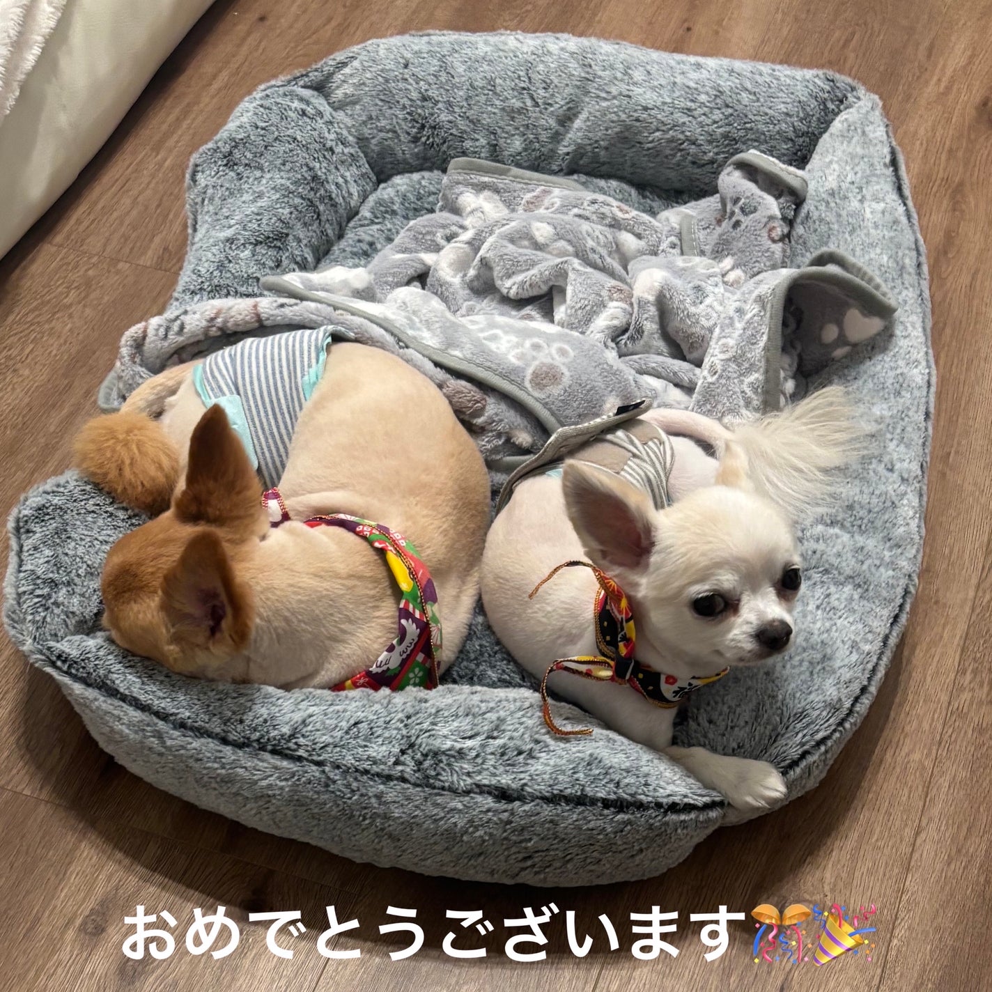 ネイルスタイラー/CLIO/マニキュアを使ったクチコミ(8枚目)