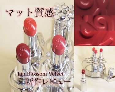 ジルスチュアート リップブロッサム ベルベット 10 elegant wisteria/JILL STUART/口紅を使ったクチコミ（1枚目）