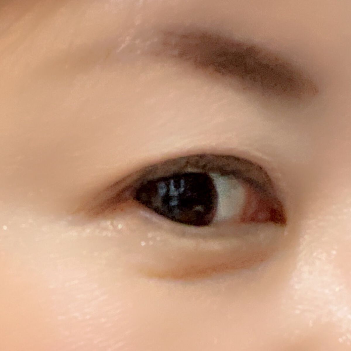 ウォンジョンヨ W デイリームードアップパレット /Wonjungyo/アイシャドウパレットを使ったクチコミ(5枚目)