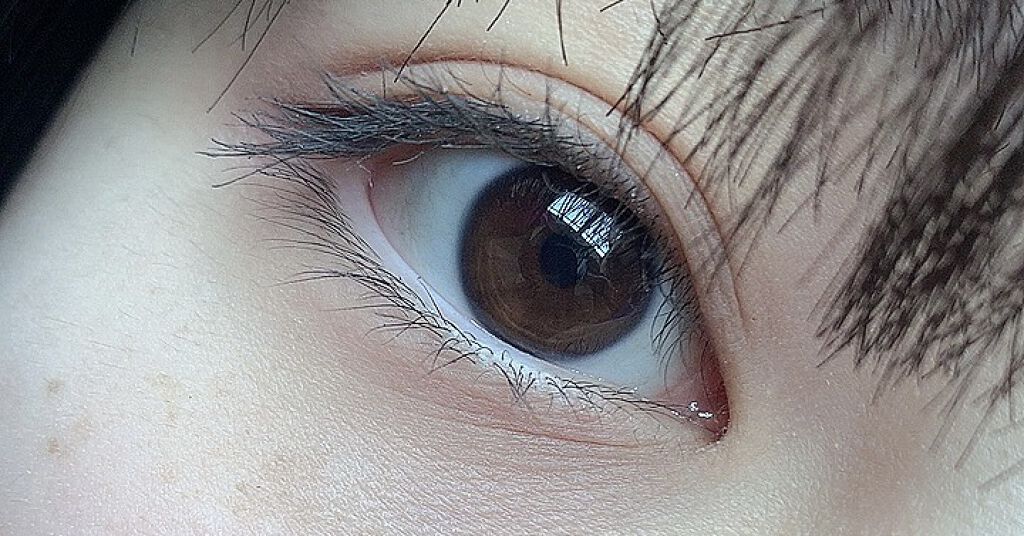 ハンオールフィックスマスカラ/rom&nd/マスカラを使ったクチコミ（3枚目）