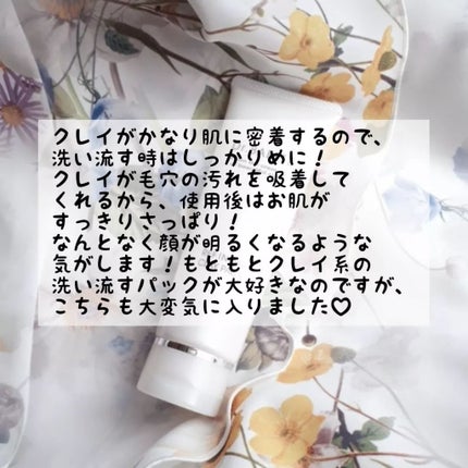 リファイニング クレイ パック/ドクターベルツ/洗い流すパック・マスクを使ったクチコミ(6枚目)