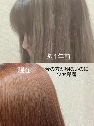 ヘアエッセンスオイル/オリーブレーベル/ヘアオイルを使ったクチコミ（8枚目）