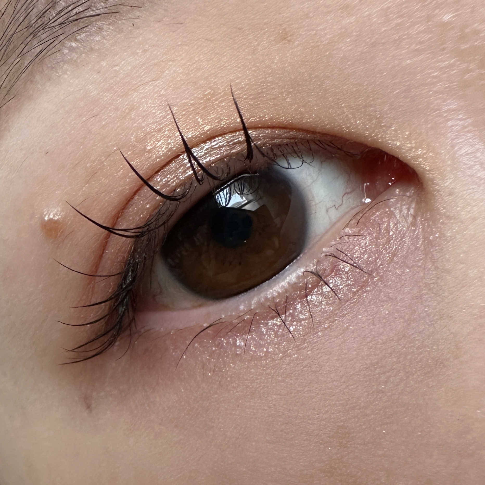 リュクスアイシャドウ L30 コスミック(リッチ スパークル)/BOBBI BROWN/単色アイシャドウを使ったクチコミ（2枚目）