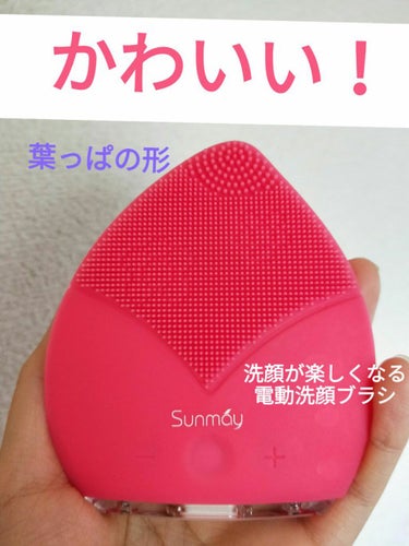 Sunmay Leaf/Sunmay/美顔器・マッサージを使ったクチコミ（1枚目）