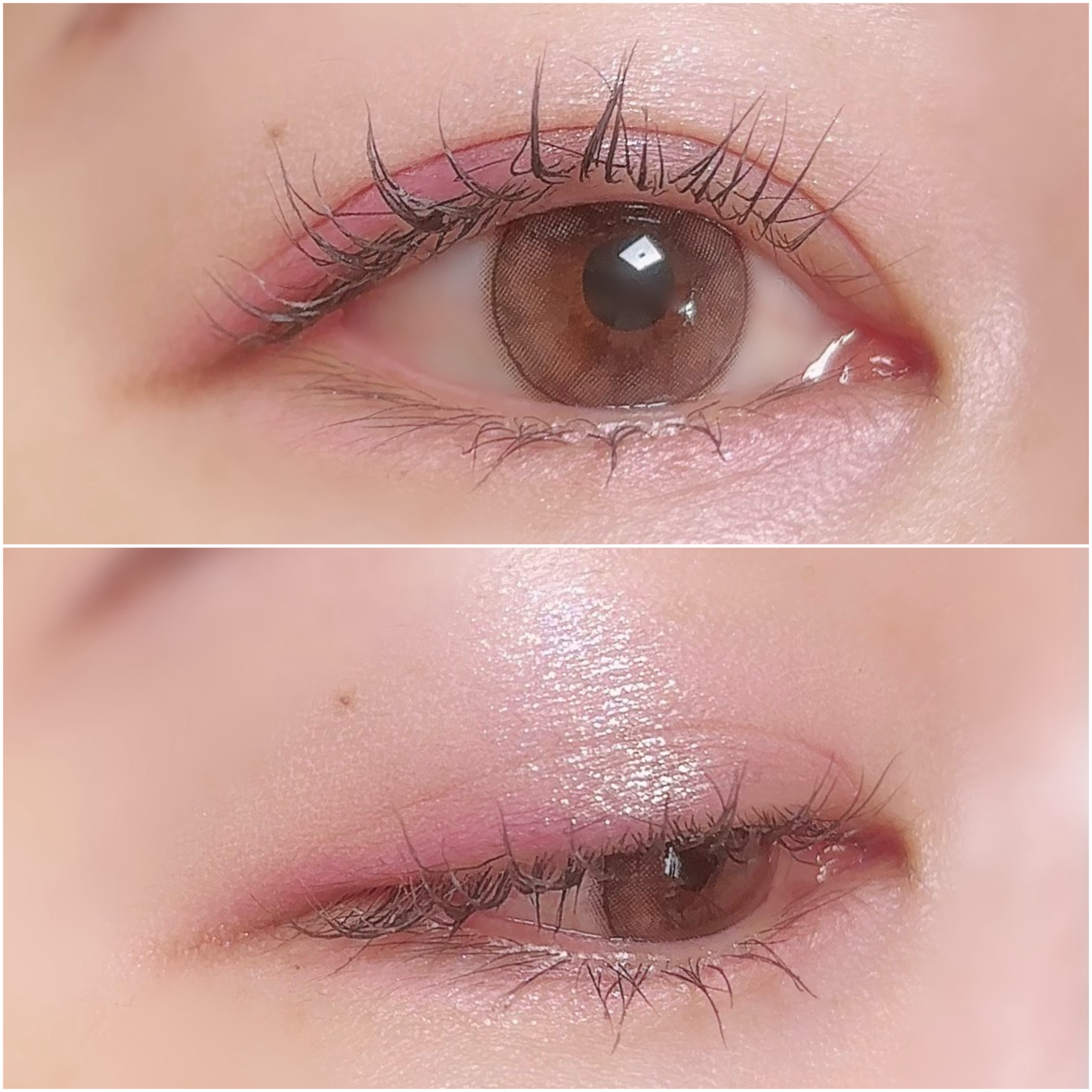 3CE ニューテイク アイシャドウパレット/3CE/アイシャドウパレットを使ったクチコミ（3枚目）