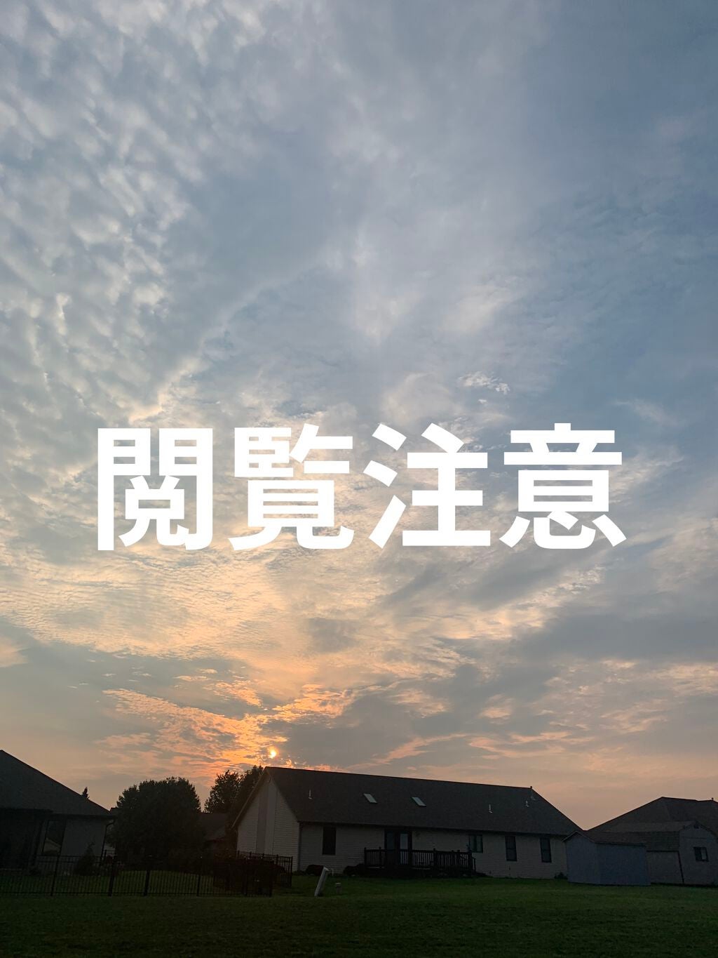 ハトムギ化粧水(ナチュリエ スキンコンディショナー R )/ナチュリエ/化粧水を使ったクチコミ(1枚目)