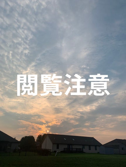 ハトムギ化粧水(ナチュリエ スキンコンディショナー R )/ナチュリエ/化粧水を使ったクチコミ(1枚目)