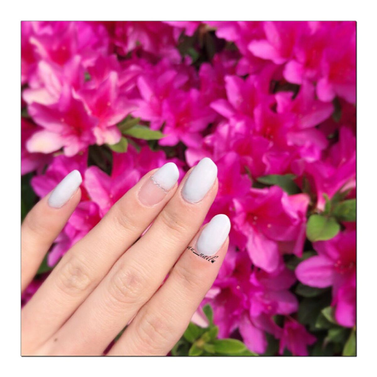 ウィークリージェル/HOMEI/ジェルネイルを使ったクチコミ（2枚目）