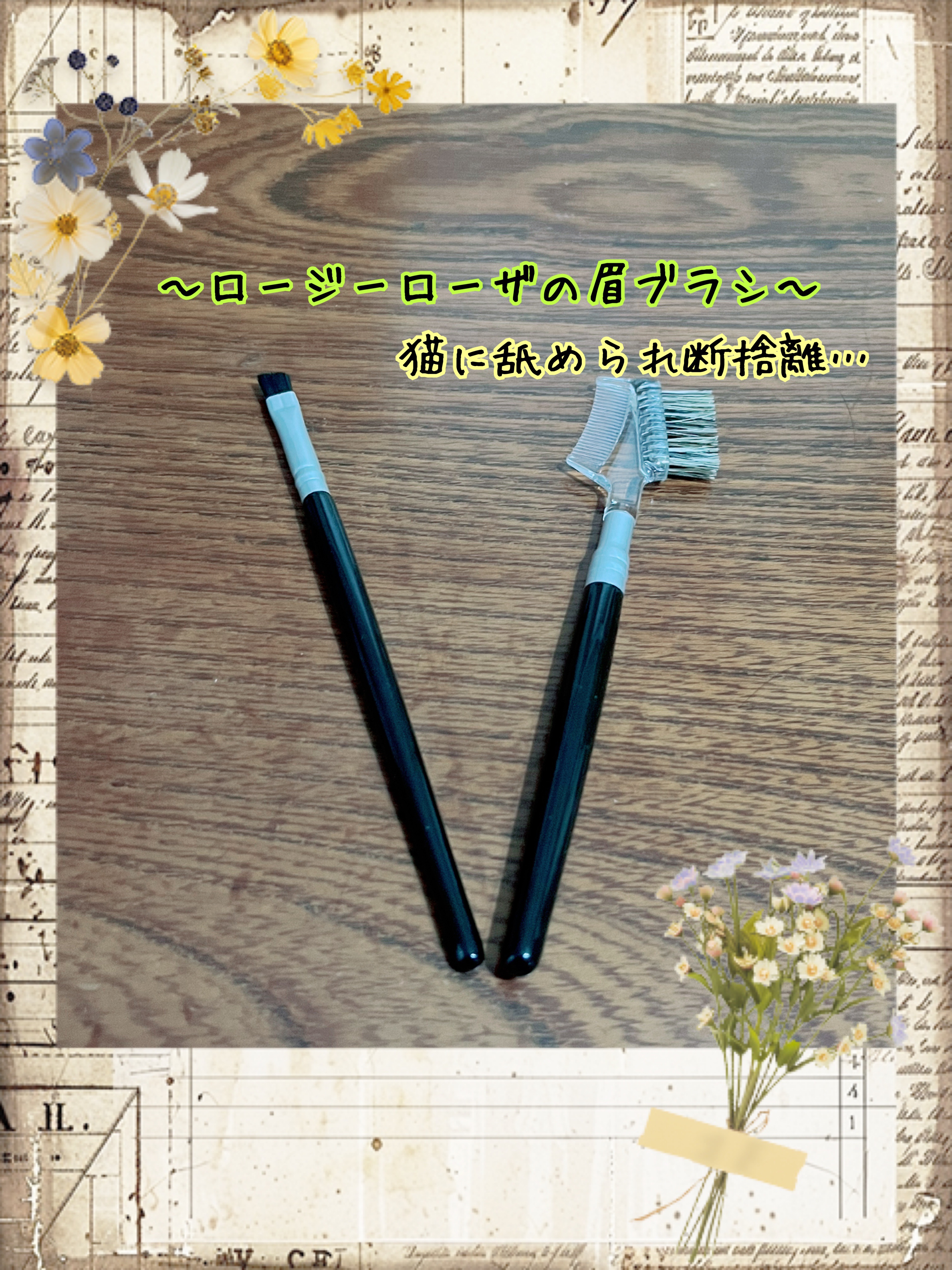 アイブロウブラシセット/ロージーローザ/メイクブラシを使ったクチコミ（1枚目）