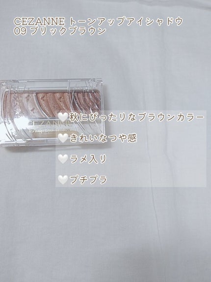 トーンアップアイシャドウ/CEZANNE/アイシャドウパレットを使ったクチコミ(2枚目)