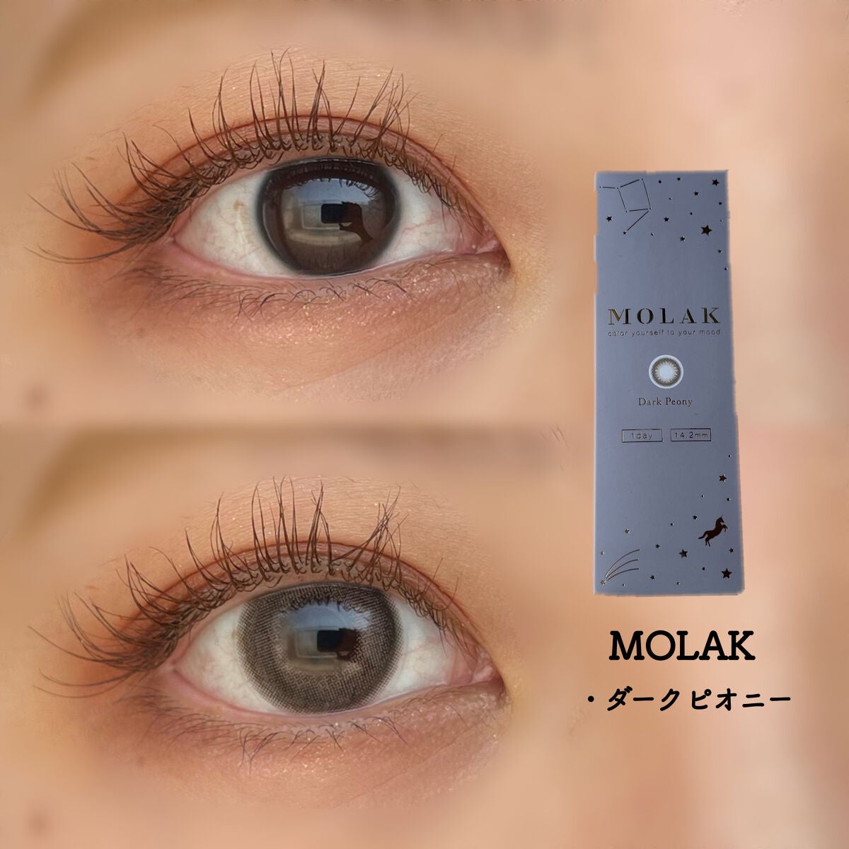 MOLAK 1day/MOLAK/ワンデー(1DAY)カラコンを使ったクチコミ(1枚目)
