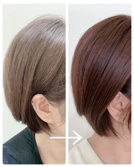 GLOSSY COAT SHAMPOO / TREATMENT/SANUS HAIR FILTER/市販シャンプーを使ったクチコミ(5枚目)