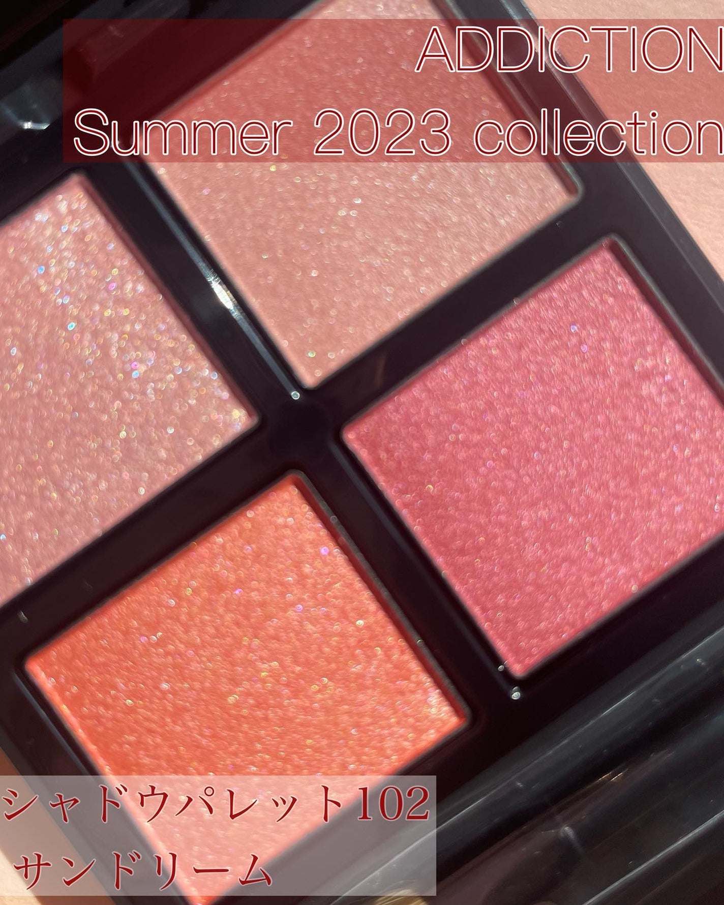 アディクション ザ アイシャドウ パレット/ADDICTION/アイシャドウパレットを使ったクチコミ(1枚目)
