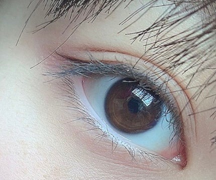 ハンオールフィックスマスカラ/rom&nd/マスカラを使ったクチコミ(2枚目)