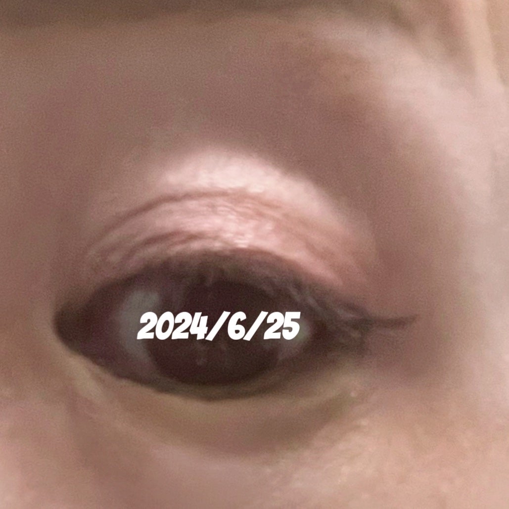 アイカラーパレット/AMUSE/アイシャドウパレットを使ったクチコミ(2枚目)