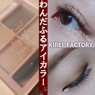 わんだふるアイカラー/KIREI FACTORY/アイシャドウパレットを使ったクチコミ（1枚目）