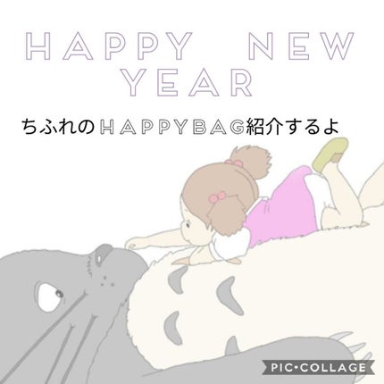 口紅(詰替用)/ちふれ/口紅を使ったクチコミ(1枚目)