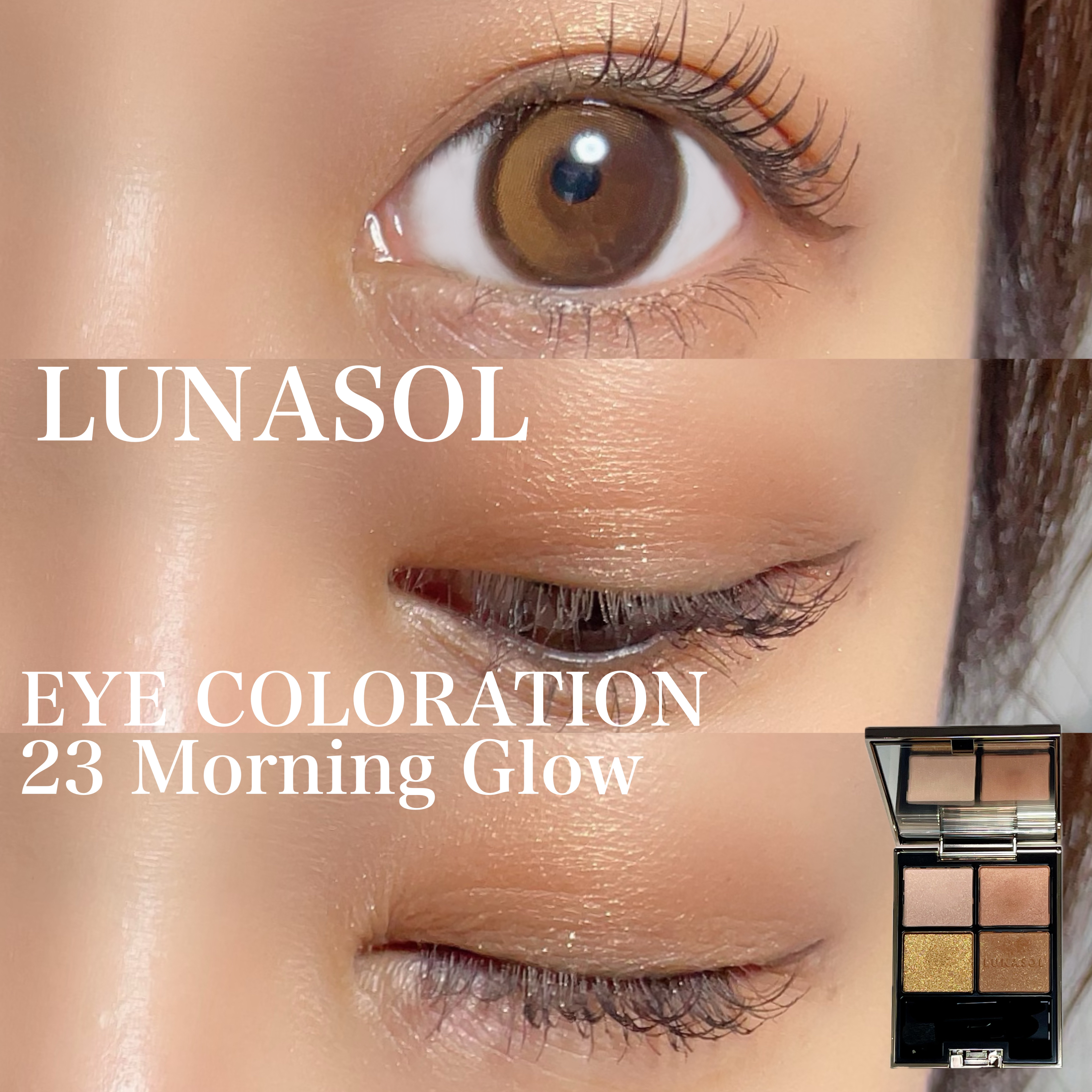 アイカラーレーション 23 Morning Glow/LUNASOL/アイシャドウパレットを使ったクチコミ（2枚目）