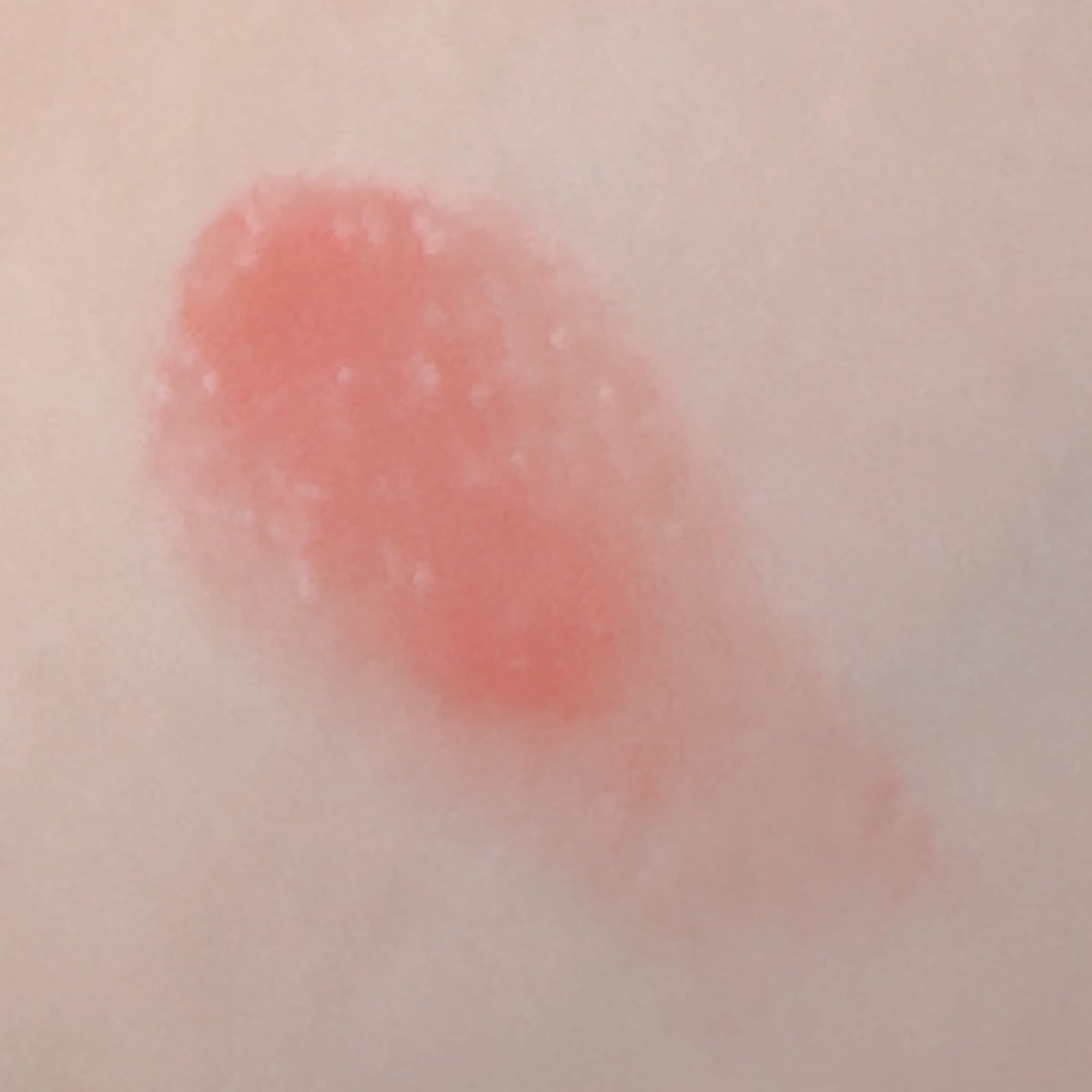 ボンディンググロウリップスティック/Laka/口紅を使ったクチコミ(3枚目)