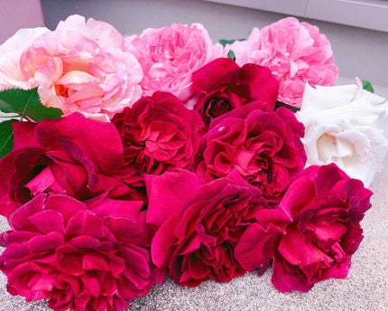 リアルクローズシャドウ/excel/アイシャドウパレットを使ったクチコミ(2枚目)